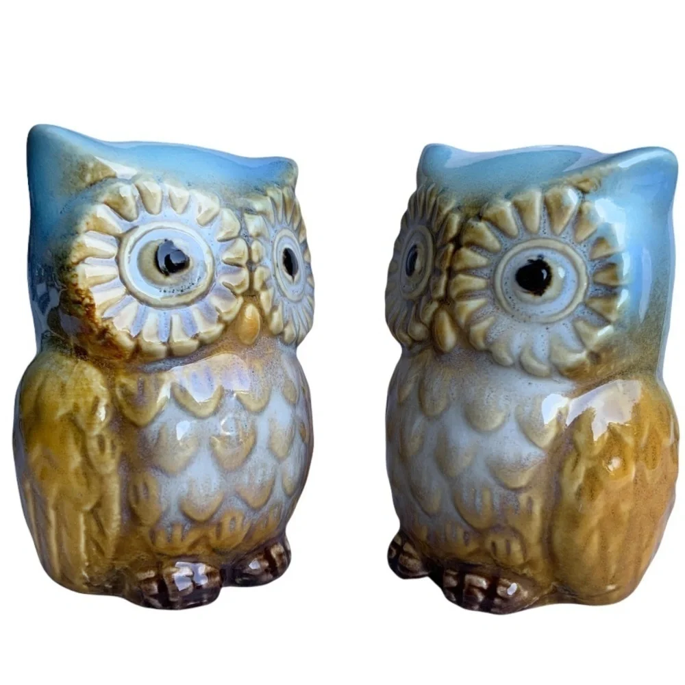 Owl Salt and Pepper Shaker Set Glazed Ceramic Hand Painted Owl Decor 2 Piece Set